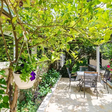 Camelia Luxury Apartments Dubrovnik Exterior photo