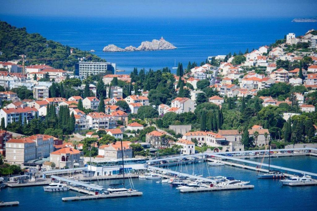 Apartment Camelia Luxury